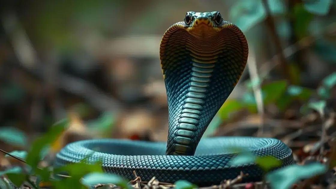 O que significa sonhar com cobra naja e o que você precisa saber
