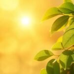 O que significa sonhar com ouro no mundo espiritual e suas implicações