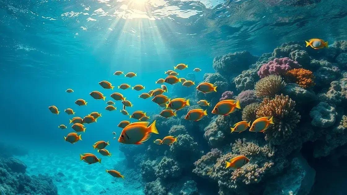 Qual o significado de sonhar com muitos peixes e suas interpretações