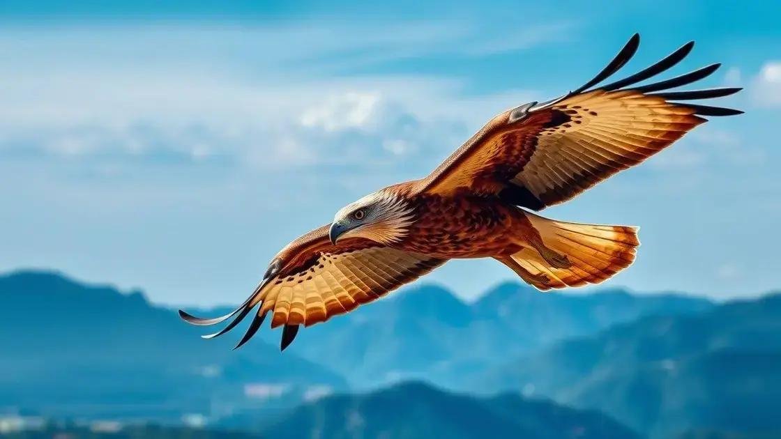 Sonhos com aves de rapina
